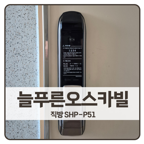 [용인 비디오폰 설치]용인 처인구 삼가동 늘푸른오스카빌 직방 도어락 SHP-P51