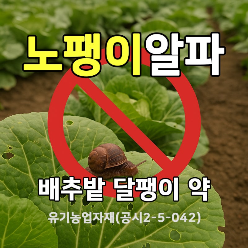 노팽이알파 ｜ 배추밭 달팽이약 사용법과 관리 포인트