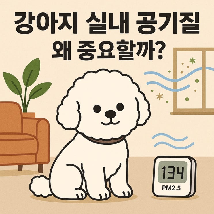  강아지 실내 공기질, 왜 중요할까?  반려견 건강을 지키는 깨끗한 공기의 힘