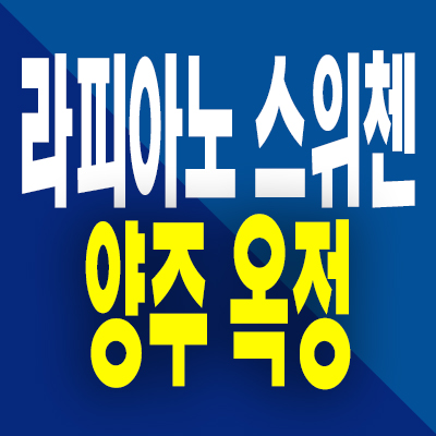  라피아노 양주옥정 타운하우스 옥정동 스위첸 할인분양 분양가