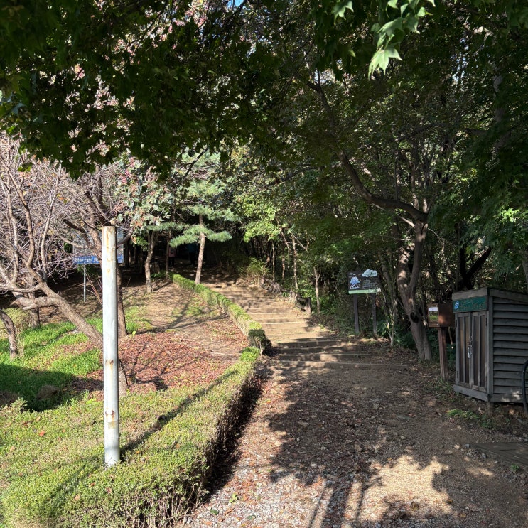  20251019 - 반홍산(수색산) E-MTB 산악자전거 입문기