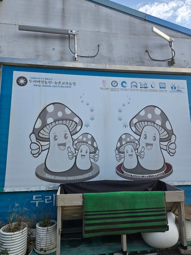 아이와 버섯을 직접 보고, 체험할 수 있는 두리버섯농장