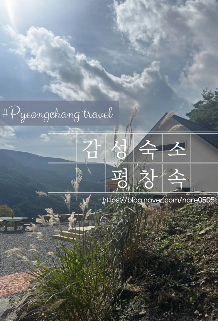  강원도 평창 에어비앤비 산속 아름다운 애견 동반 독채 감성 숙소 평창속