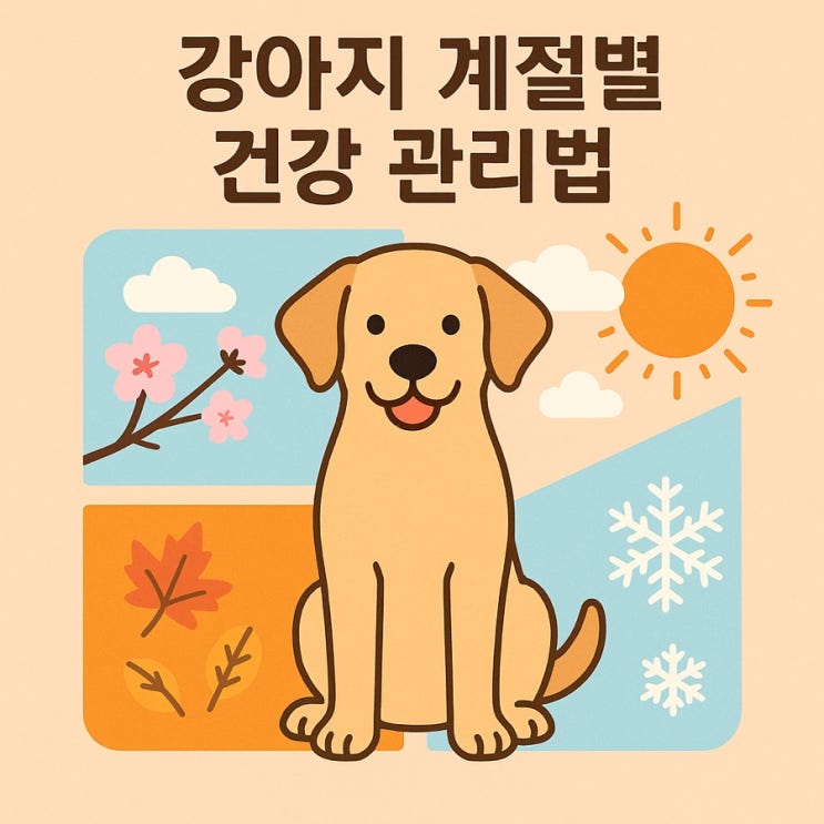  강아지 계절별 건강 관리법  봄·여름·가을·겨울 맞춤 케어 가이드!