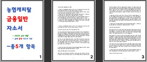  [2025년] NH농협캐피탈 자소서 2편 모음 / 작성법 / 합격 자기소개서 보기