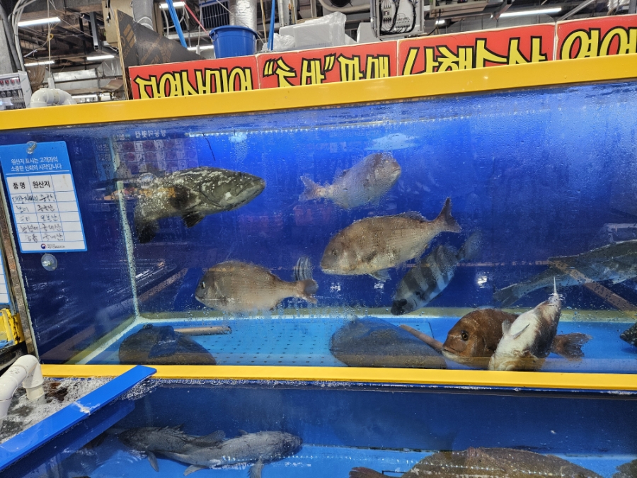 강릉횟집 사진 3
