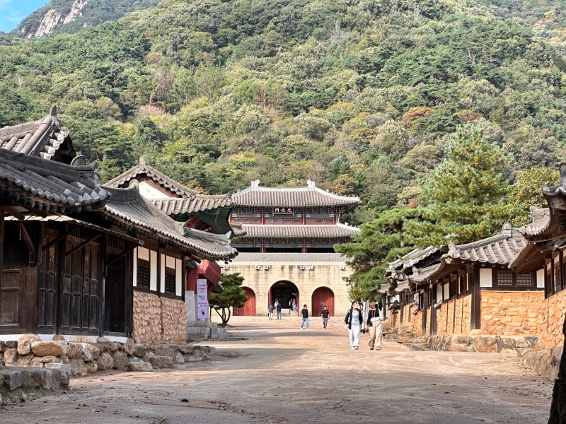 사진 7