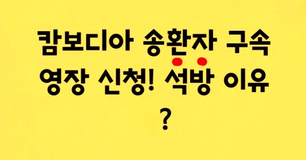 <b>구속</b>영장 반려된 <b>캄보디아 송환 피의자</b> A씨,, 왜 반려??