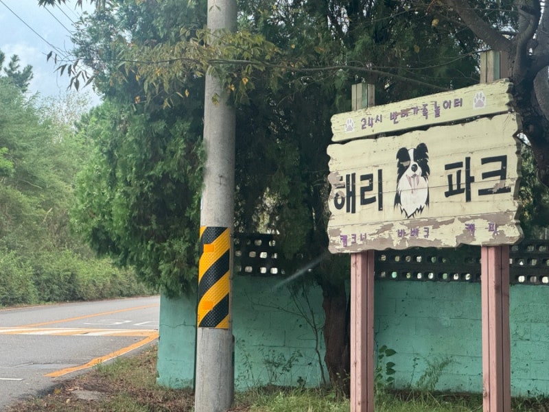 사진 2