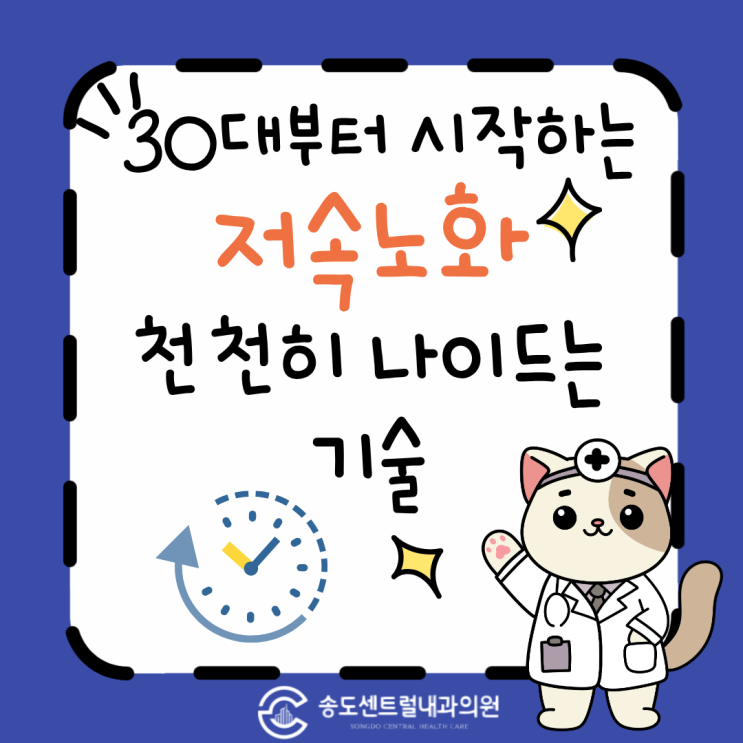  내 몸의 시계를 천천히 돌리는 법 30대부터 시작하는 저속노화 관리 송도센트럴내과