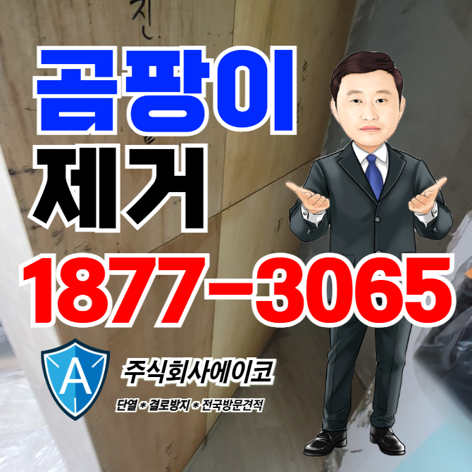 다이소 벽지 곰팡이 제거제 소용없다면