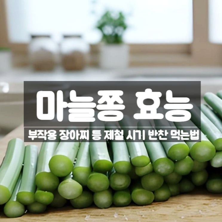  마늘쫑 효능 부작용 장아찌 제철 시기 반찬 먹는법