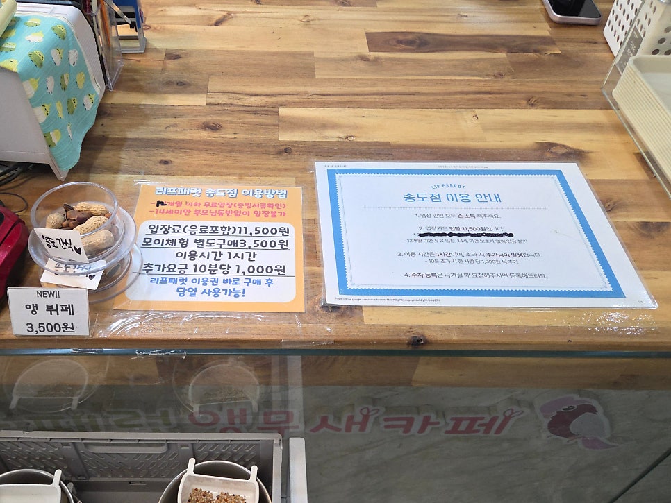 리프패럿 송도점 사진 4