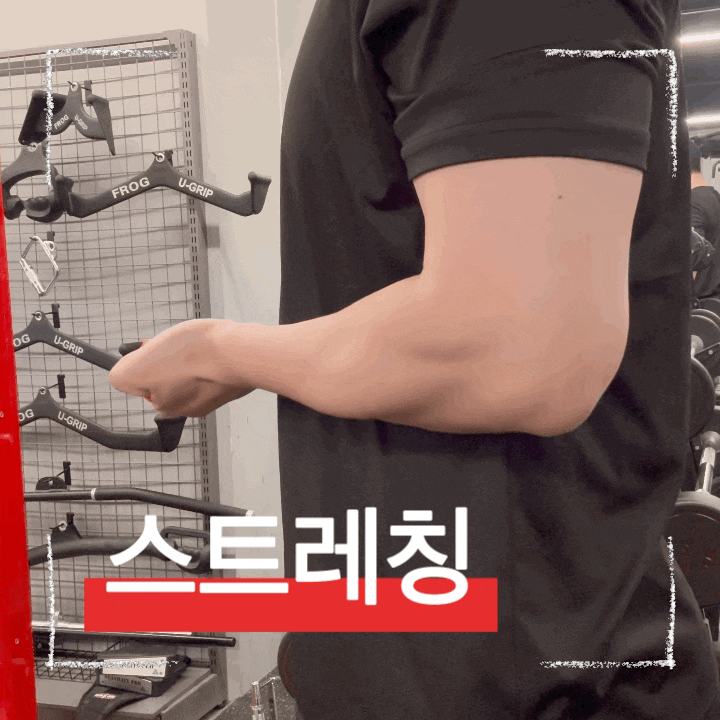  상체 운동 전 5분, 밴드 스트레칭 하나로 근육 활성화 및 부상예방 효과
