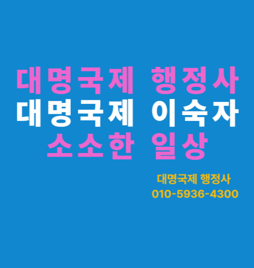  10년 넘게 해도 여전히 배우는 일, 비자 업무의 세계