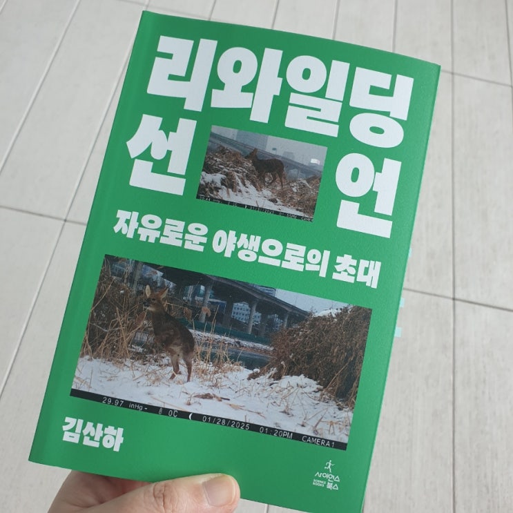  리와일딩 선언 : 야생을 되살린다는 것의 의미