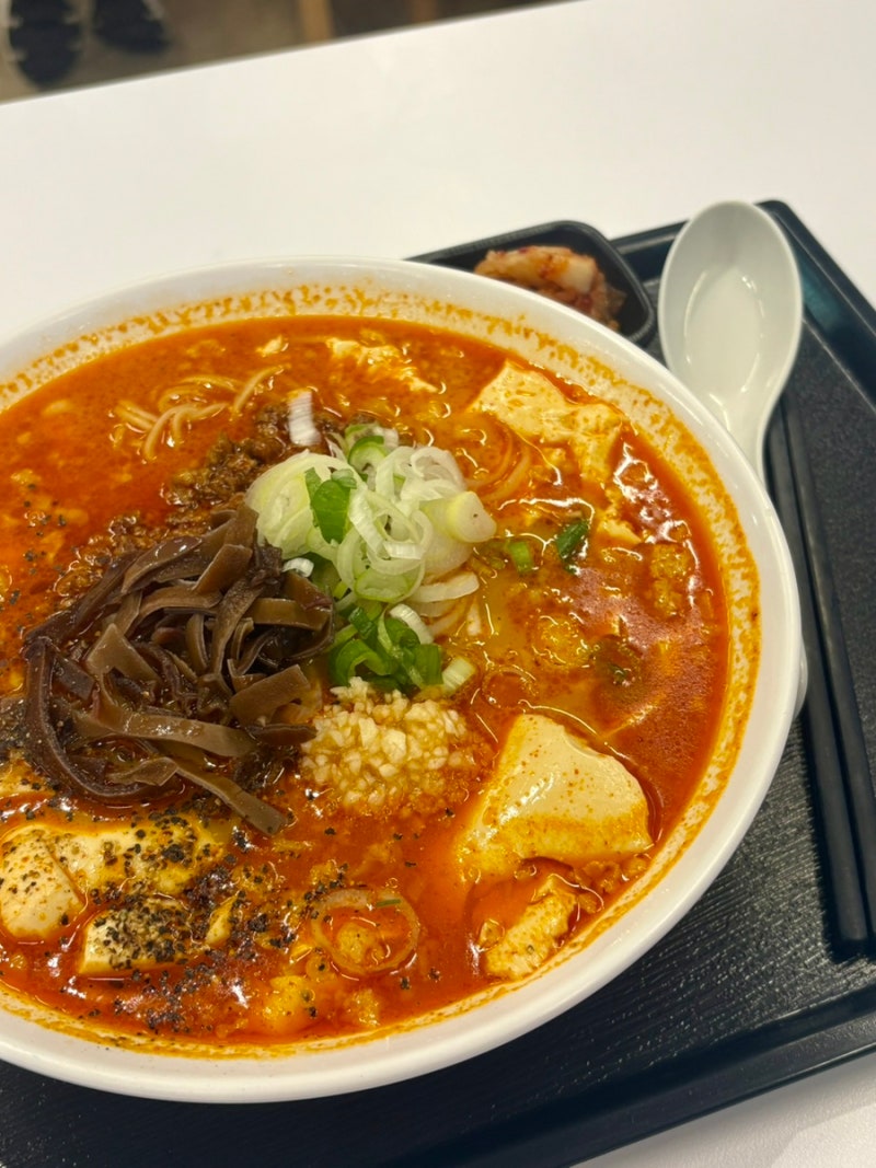 서현역 AK플라자 분당점 I 푸드코트 맛집 [ 카츠이찌 ] 돈가스 탄탄멘