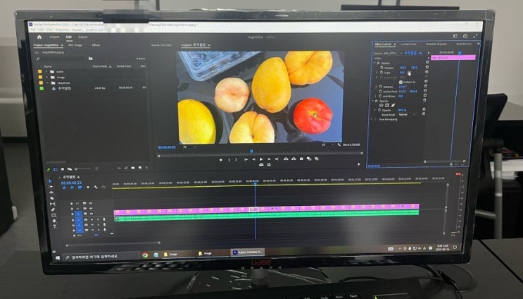  프리미어 프로 사용법/ 초보 탈출(1) : 동영상 편집하기 전에 먼저 해야 하는 것, 특징, 파일 정리 등