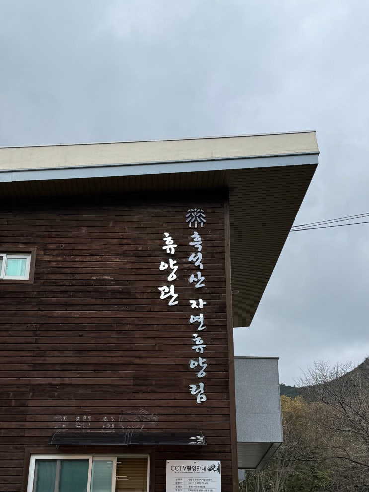  전남여행 해남 흑석산 자연휴양림 동백동후기 전남 아이와 가볼만한곳