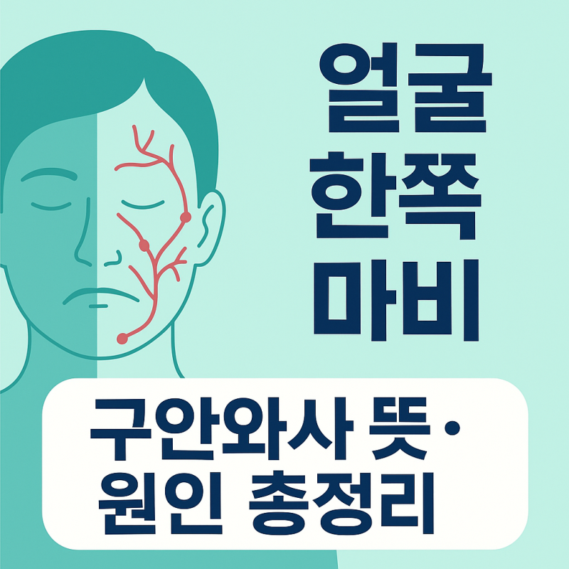 구안와사 뜻·전조증상·원인 총정리｜얼굴 한쪽이 잘 안 움직인다면 의심하세요