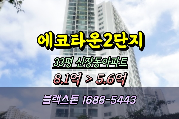  신장동 에코타운2단지 아파트 경매 33평