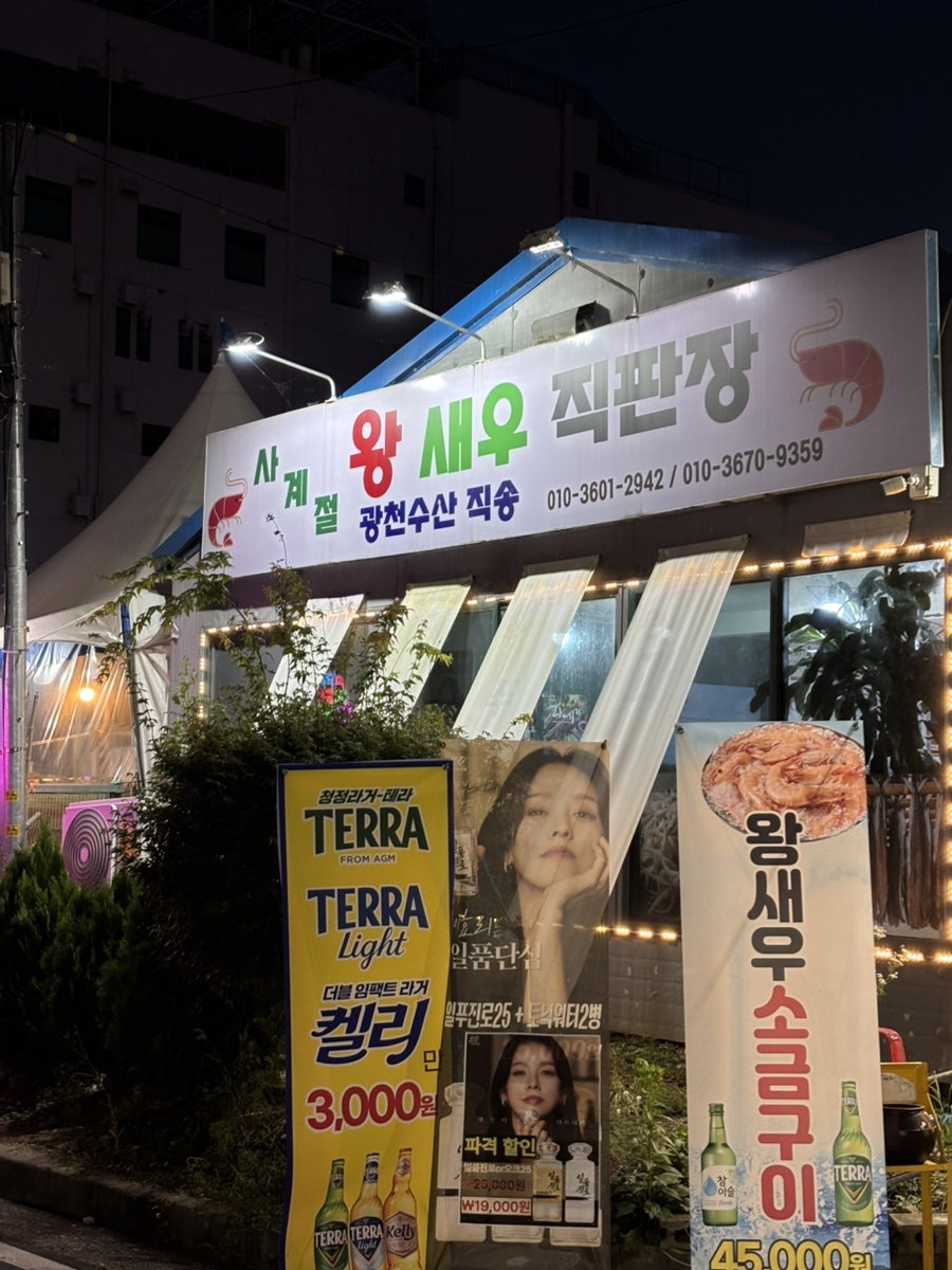 아중왕새우 사진 3