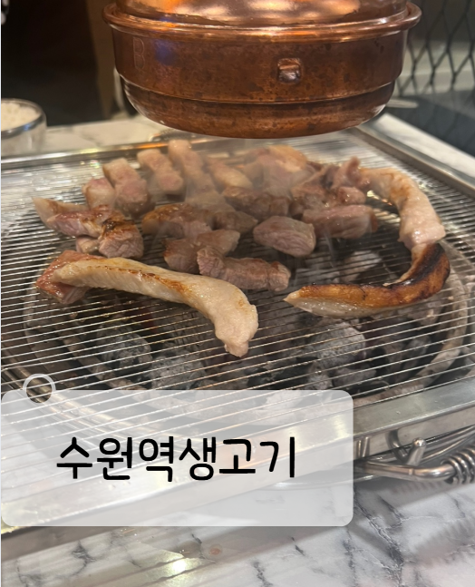  수원역 로데오거리 맛난 고기집 수원역생고기