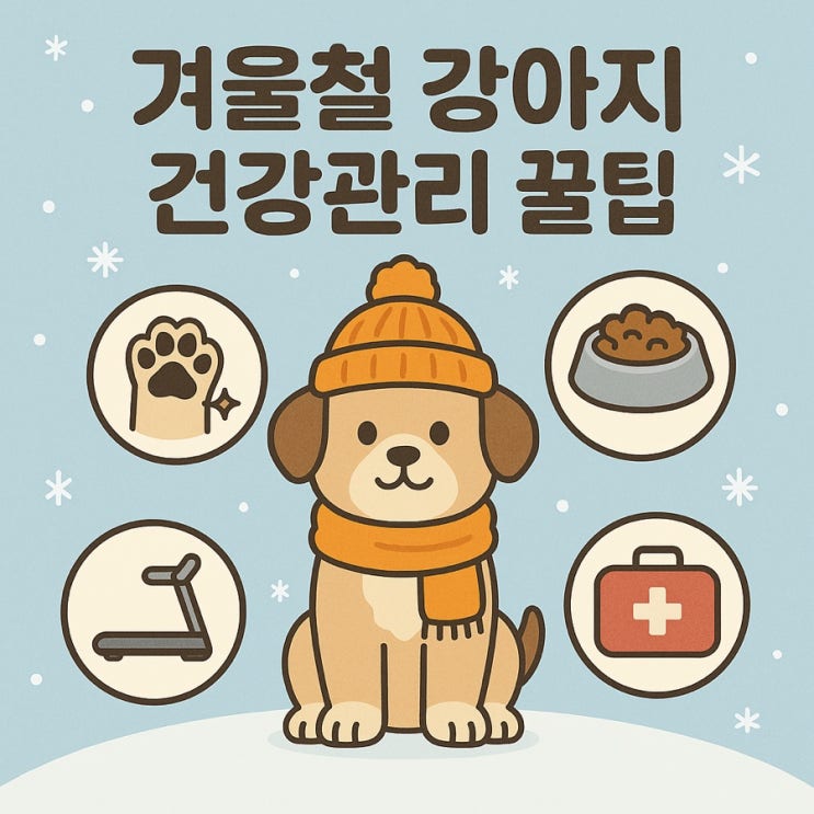  겨울철 강아지 건강관리 꿀팁  추위·건조함·관절 통증 완벽 대비 가이드!