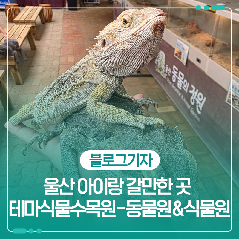 사진 6
