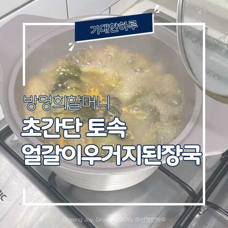 [토속얼갈이우거지된장국] 라면보다 쉬운 초간단 된장국 끓이기! 간단하지만 깊은 맛과 건강....