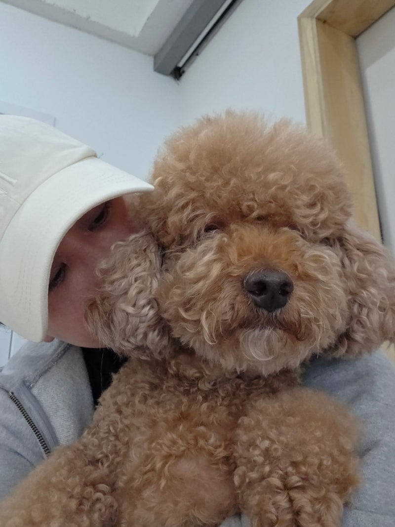 사진 7