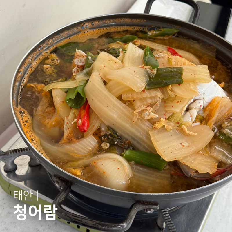 충남 태안 맛집 청어람 백반기행 한식 게국지 맛집