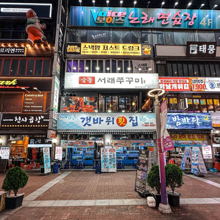  친구랑 한잔하기 좋은 범계역 술집 쭈꾸미