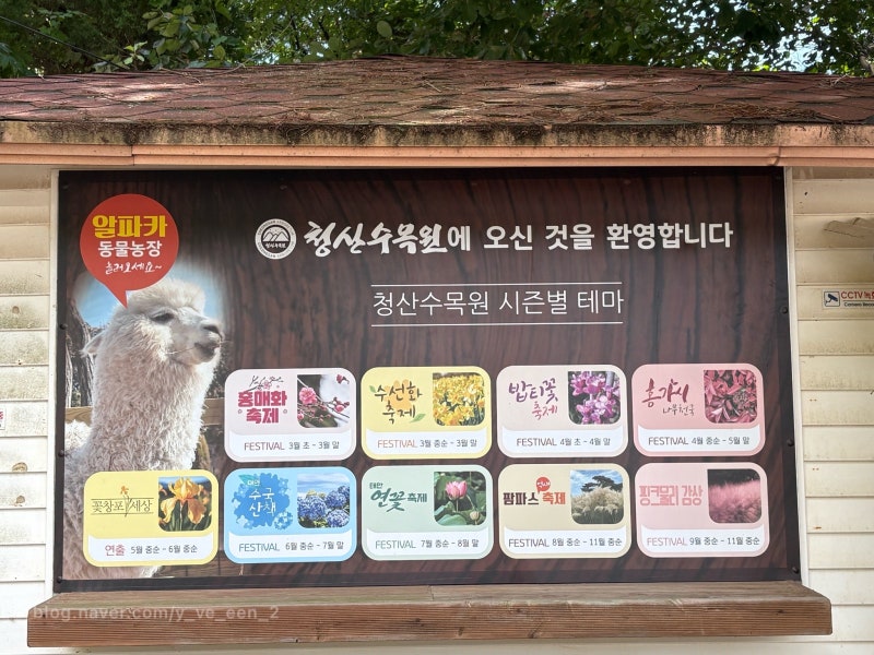 충북 태안 여행 1박 2일 2일차 2 (청산수목원, 태안랩소디, 늘푸른목장, 신두리해수욕장)