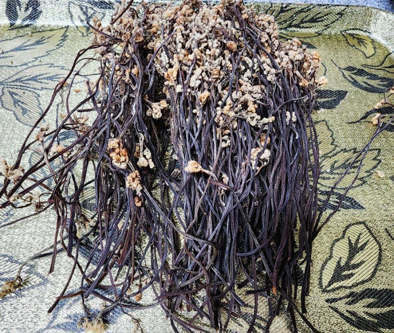 건고사리 부드럽게 삶는법& 오래가는 보관 꿀팁