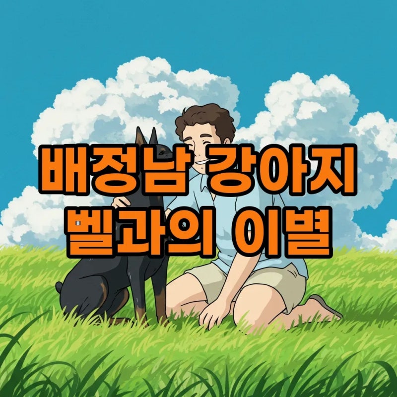 배정남 강아지 벨의 슬픈 이별, 미우새가 보여준 반려견 장례의 의미