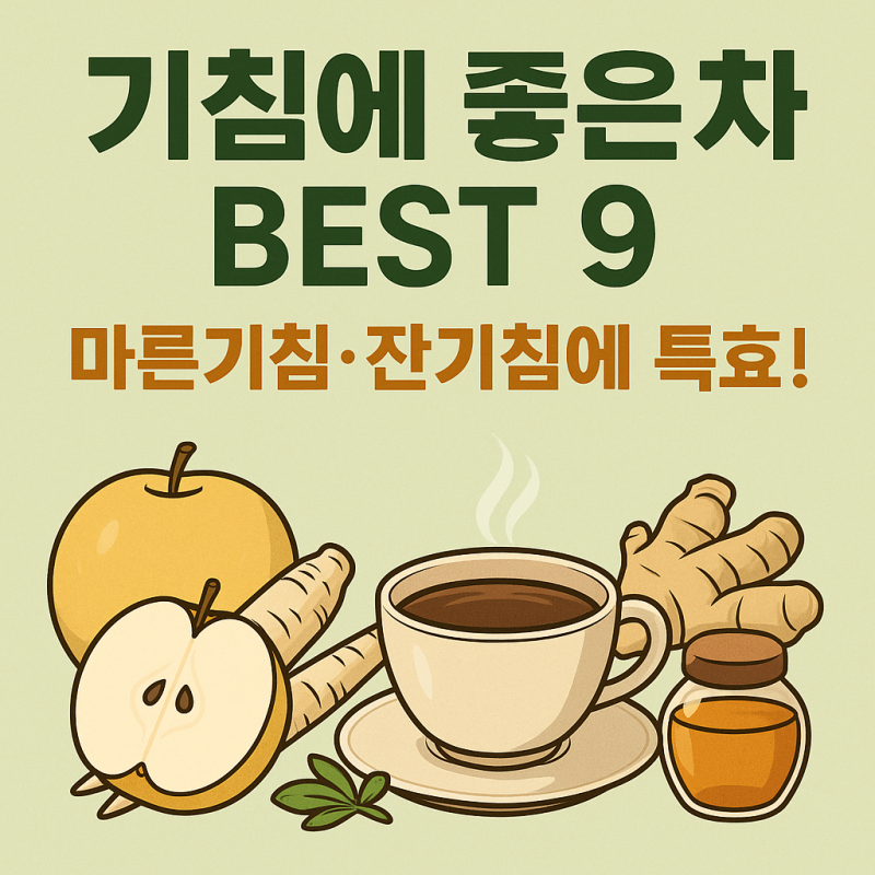 [기침에 좋은 차 BEST 9] 마른기침·잔기침에 특효! 기관지에 좋은 민간요법 총정리