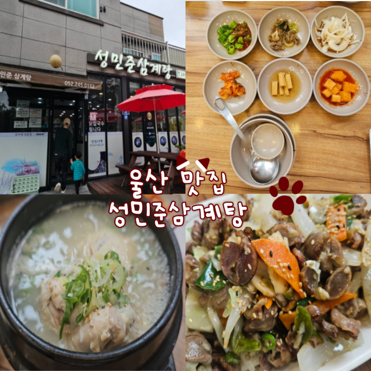  울산 태화강생태관 근처 맛집: 성민준삼계탕 내돈내산 찐 후기!!!(아이랑 먹기 좋아요!)