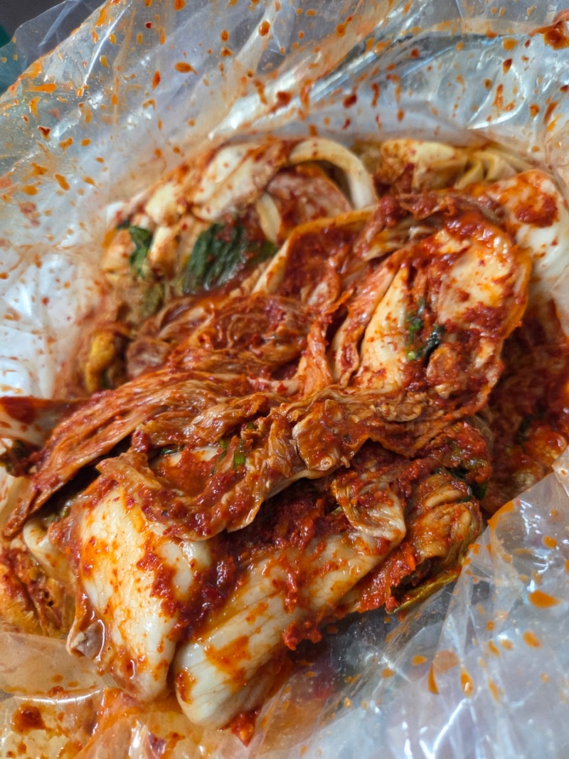 롯데홈쇼핑 김치추천 정준하김치 12kg 솔직 후기