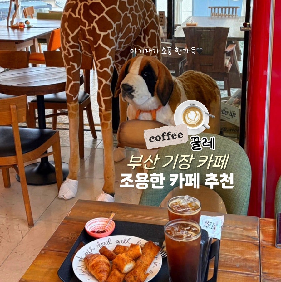 끌레 사진 1