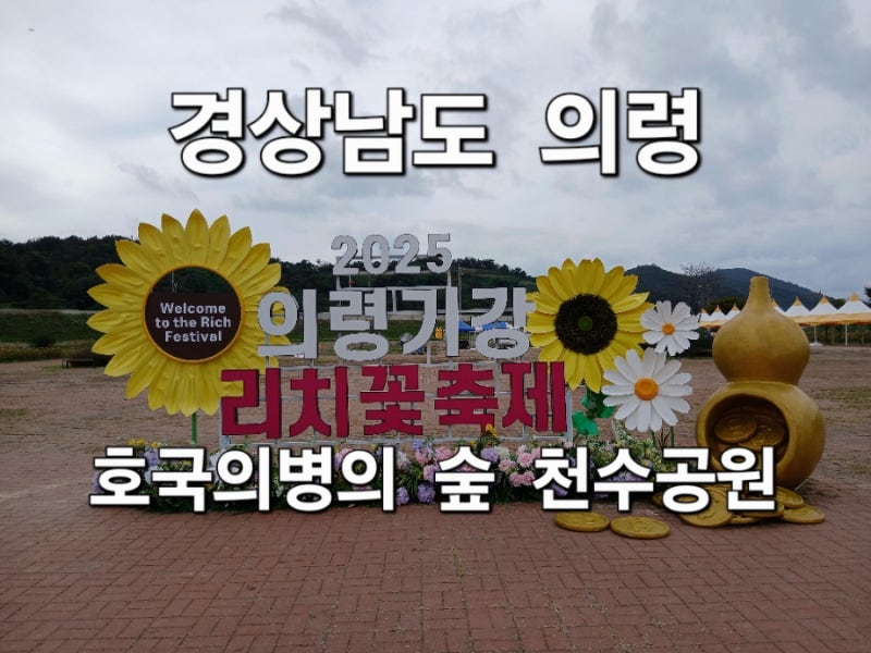 경남 의령 호국의병의숲 천수공원 기강리치 꽃 축제 핑크뮬리 탐방