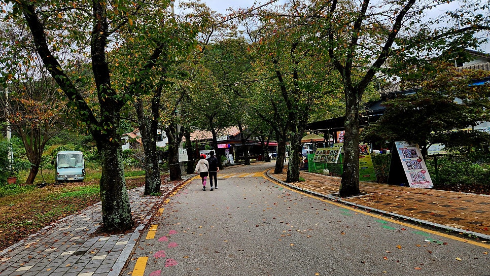 고금당골 사진 5