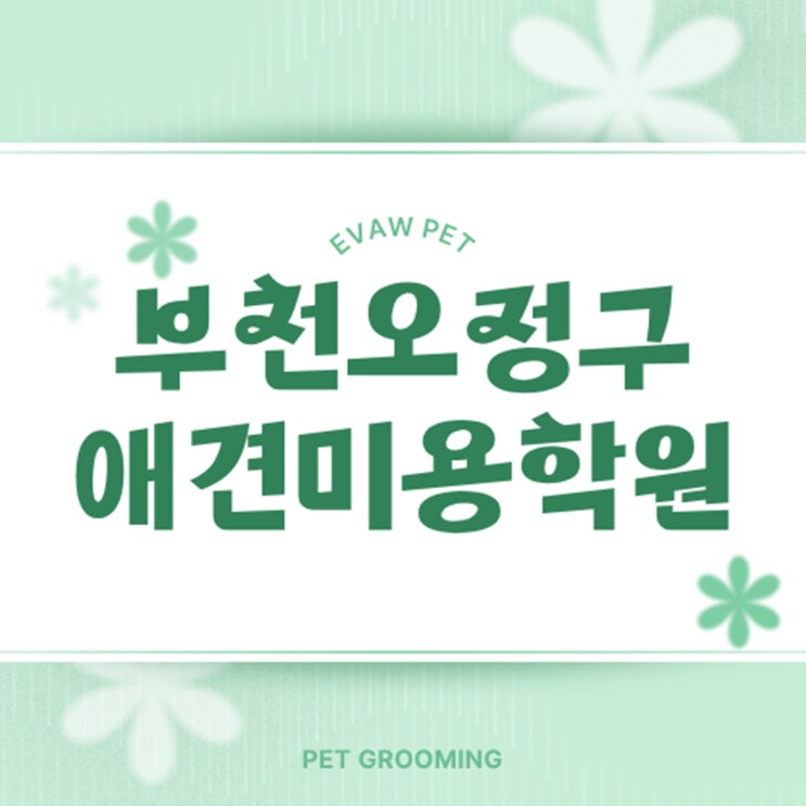  부천오정구애견미용학원에서 시작하는 반려동물 미용 전문가의 길