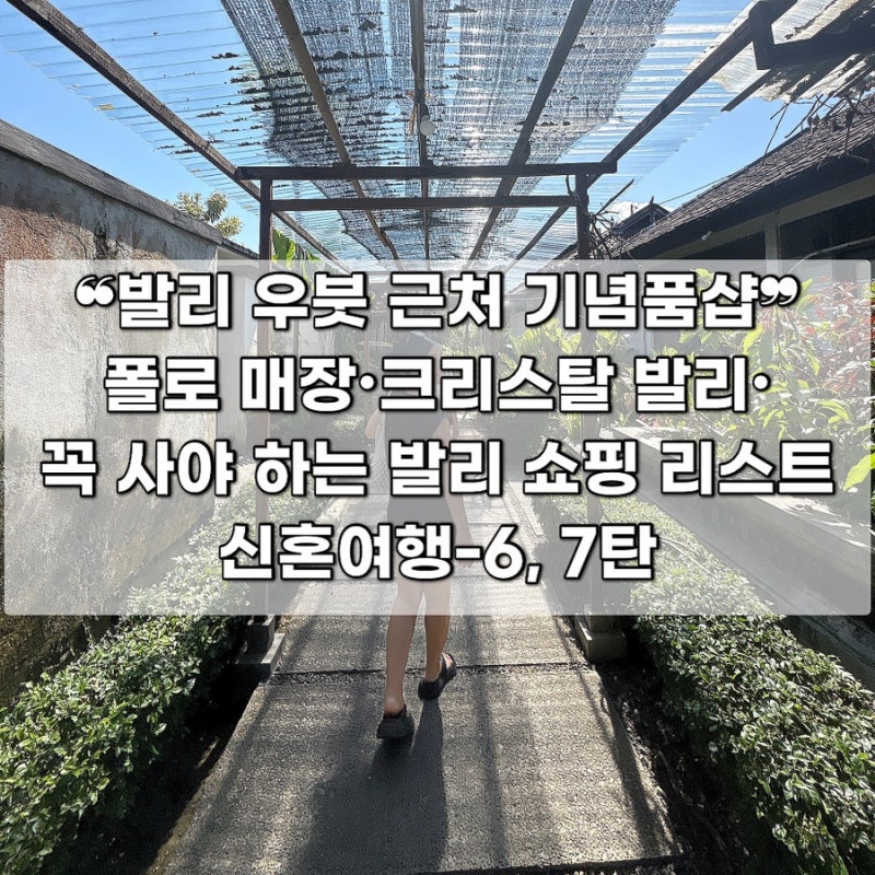 [신행 | 발리] 쇼핑 리스트 폴로 기념품샵 투어, 덴파사르 공항 면세점 신혼여행-6,7