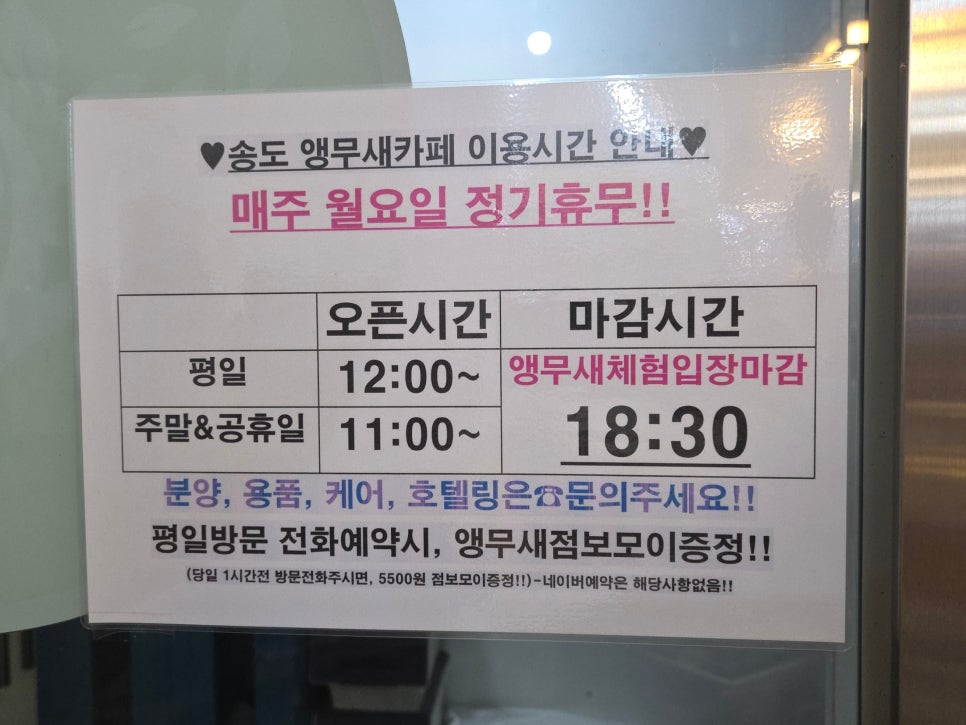 리프패럿 송도점 사진 3