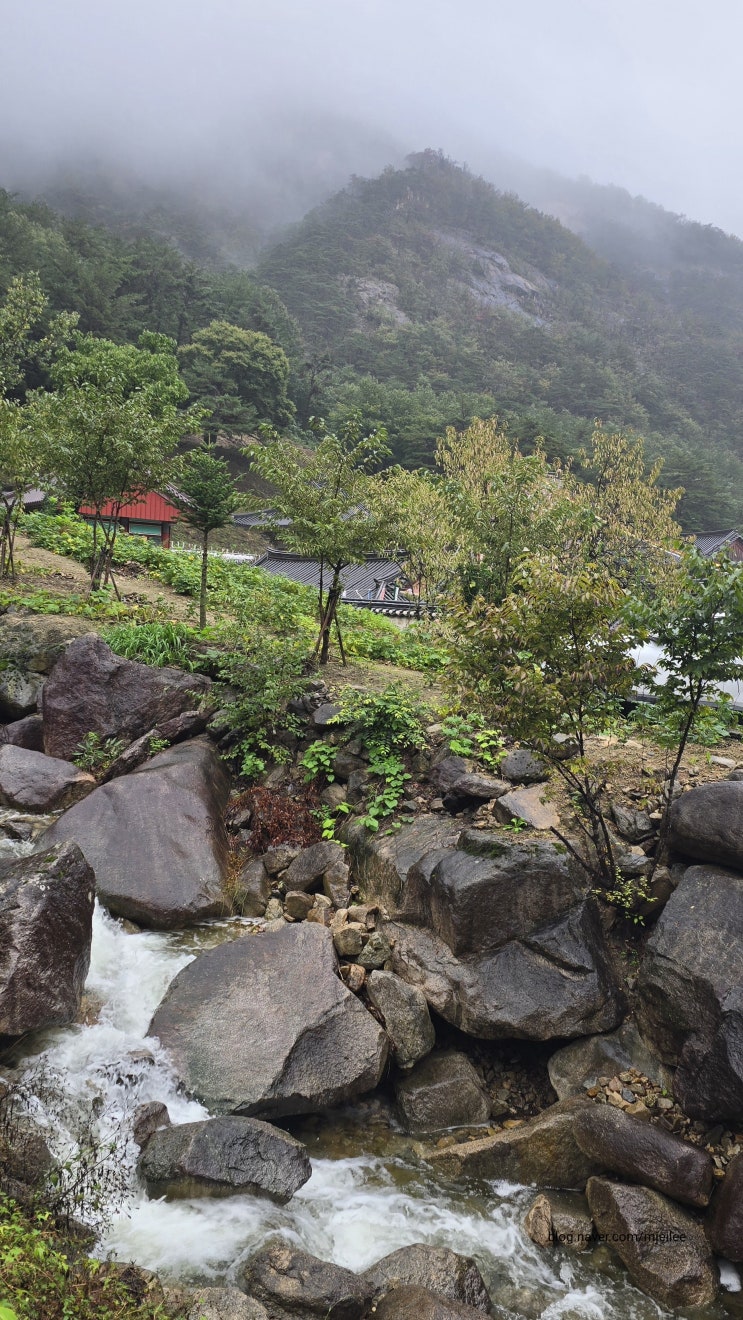 <b>동해</b> 무릉도원 계곡의 <b>삼화사</b>, 국행 수륙재