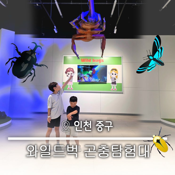  인천 월미도 겨울에도 가기좋은 실내체험관 곤충박물관 추천 와일드벅스 곤충탐험대 주차