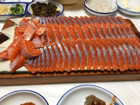 산골송어 사진 1