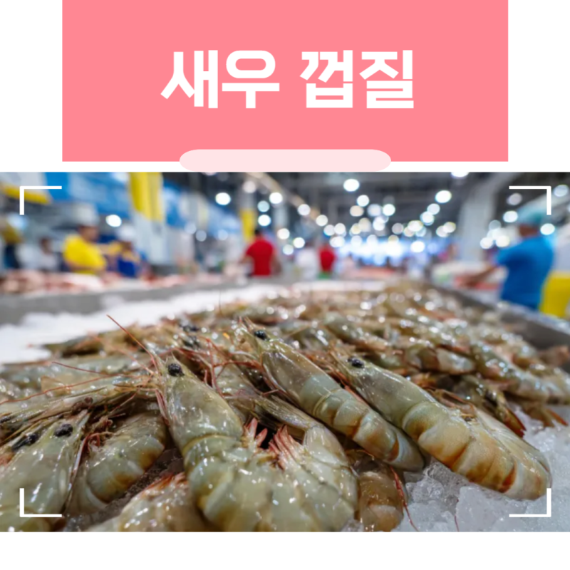 새우 껍질 음식물 쓰레기 분리수거 방법
