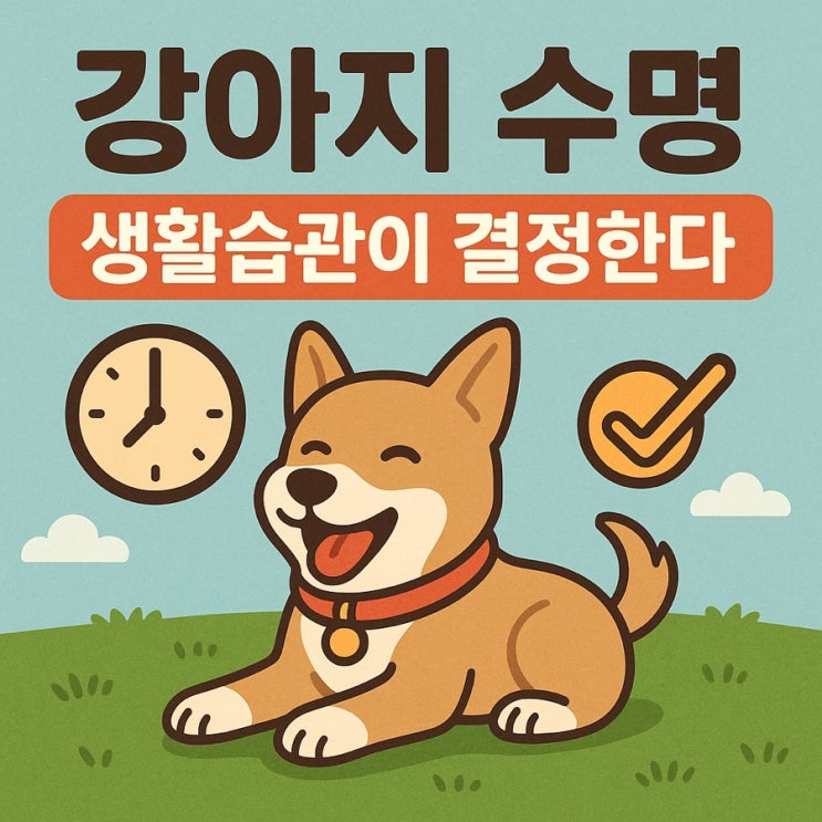  강아지 수명, 생활습관이 결정한다!  오래오래 건강하게 사는 비밀 습관 7가지